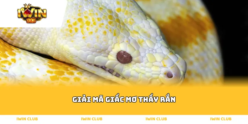 Giải mã giấc mơ thấy rắn